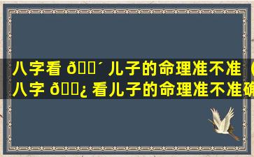 八字看 🐴 儿子的命理准不准（八字 🌿 看儿子的命理准不准确）